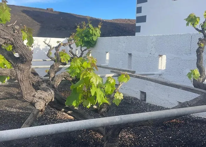 Prázdninový dům Juan Martin