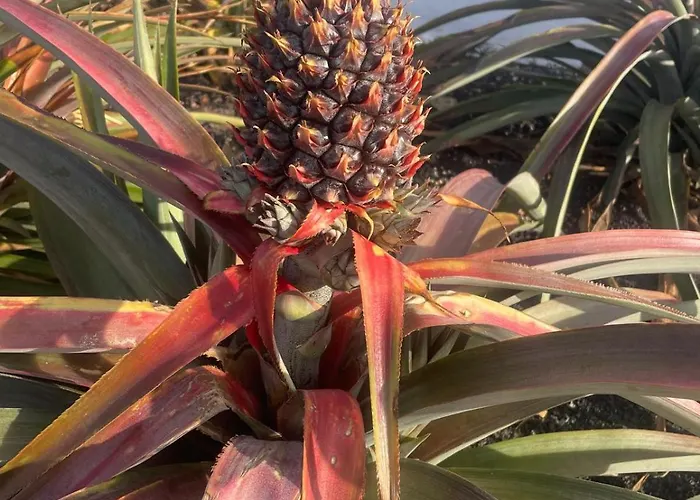 Juan Martin Vakantiehuis